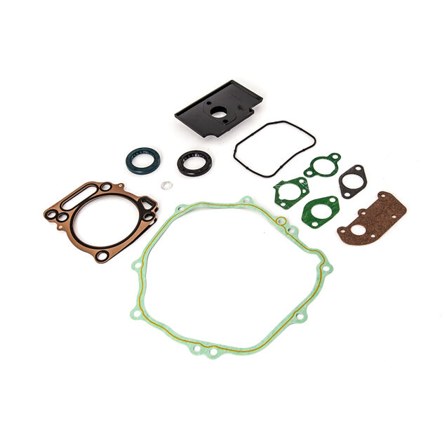 951-12204A – Kit GSKT Complete 420CC by MTD