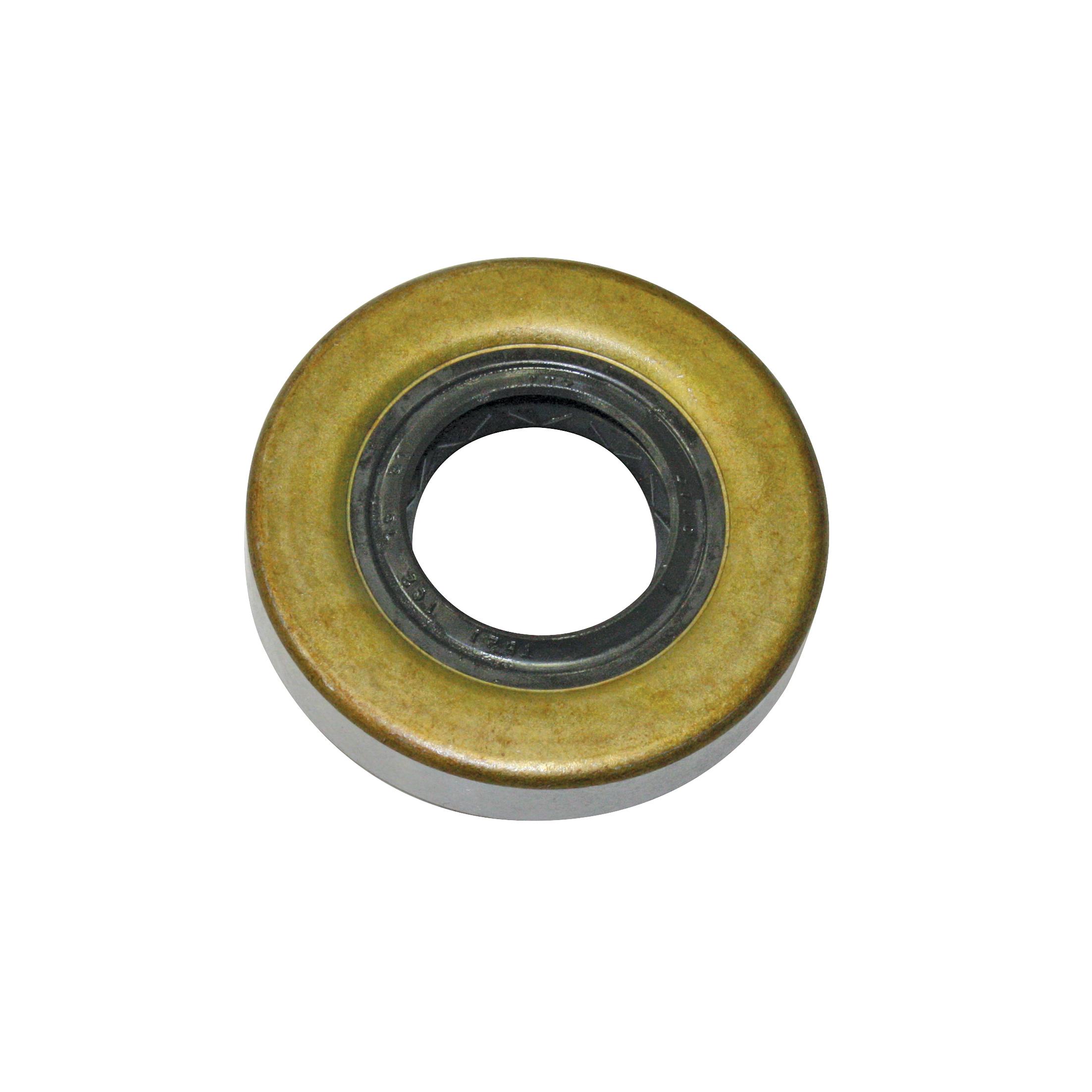 Oil Seal - Briggs & Stratton 393812 - B1BR69 by Jakmax
