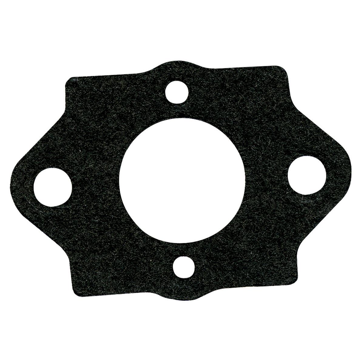 Intake Gasket - Walbro(Pkt. 10) - B1SB1542 by Jakmax