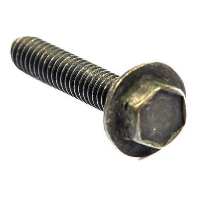 Screw by Briggs and Stratton