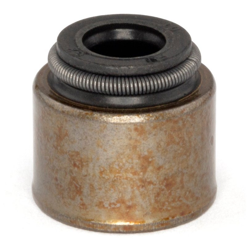 Seal Valve by Briggs and Stratton