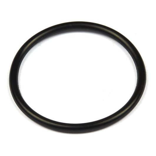 Fitting O-Ring by Briggs and Stratton