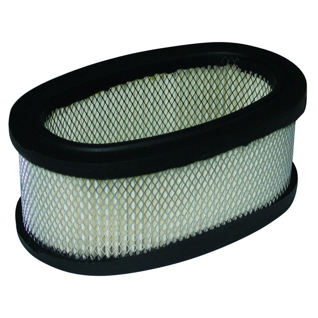 Airfilter Briggs 393406 by GA Spares