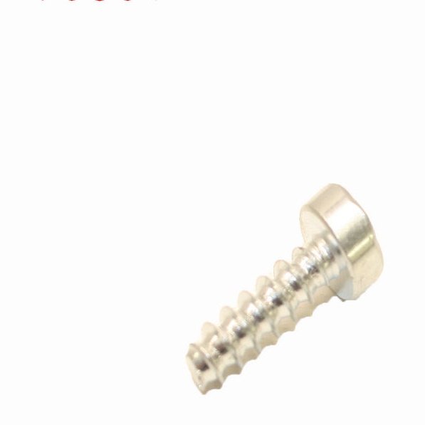 Pan Head Self Tapping Screw Is-P5X1 by STIHL