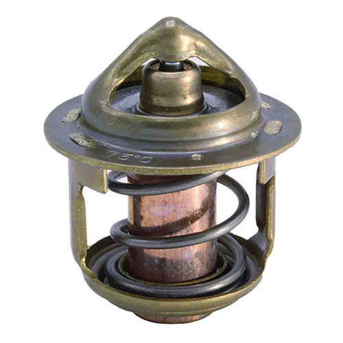 145206061 – Thermostat Compl by MTD